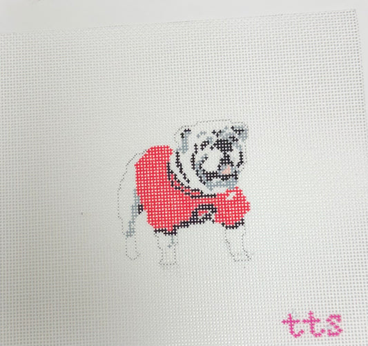 UGA Bulldawg