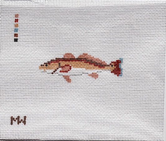 Red Drum Mini