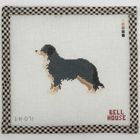 Bernese Mountain Dog