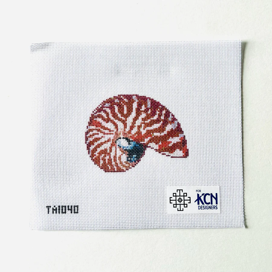 Mini Nautilus Terra Cotta