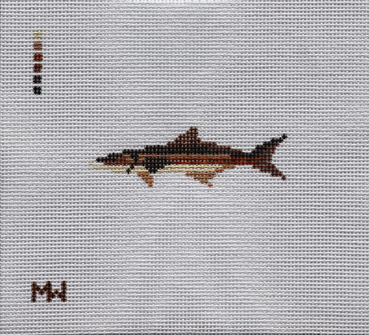 Cobia Mini