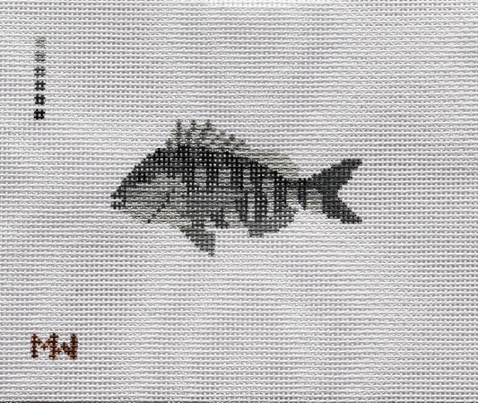 Sheepshead Mini